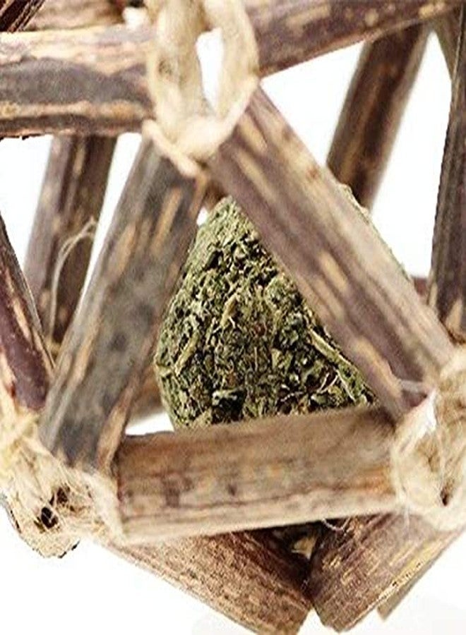 Pups&Pets كرة القطط من Pups&Pets، أعواد الكرمة، النعناع البري، كرة رائعة، لعبة عض للحيوانات الأليفة، العناية بالأسنان، كرة لياقة بدنية ممتعة. - Image 4